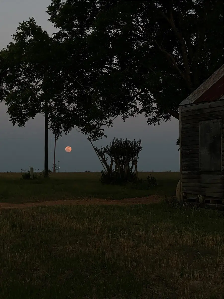 939 Knape Rd, La Grange, TX 78945 - #2