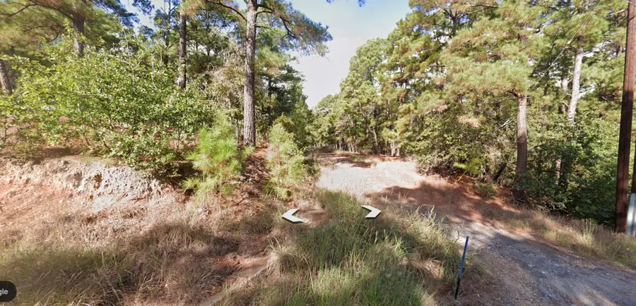 1188 Tahitian Village, Bastrop, TX 78602 - #3