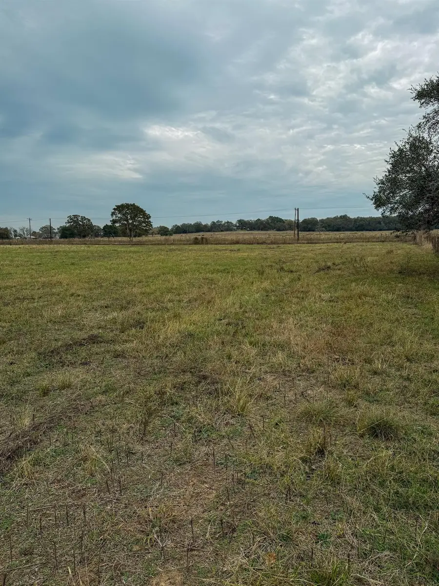 TBD Lot 13 Cardinal Rd, Rosanky, TX 78953 - Image #3