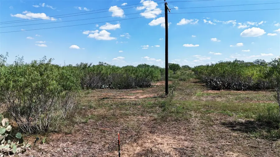 Lot 1 County Road 422, Pleasanton, TX 78064 - #3