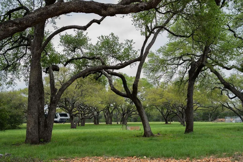 426 Mill Run, New Braunfels, TX 78132 - #1