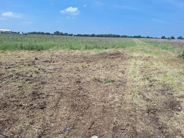 351 N County Road 224, Florence, TX 76527