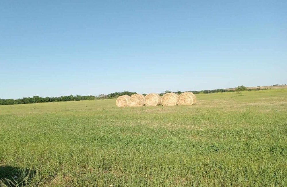 12901 Cr 440, Thorndale, TX 76577 BHGRE