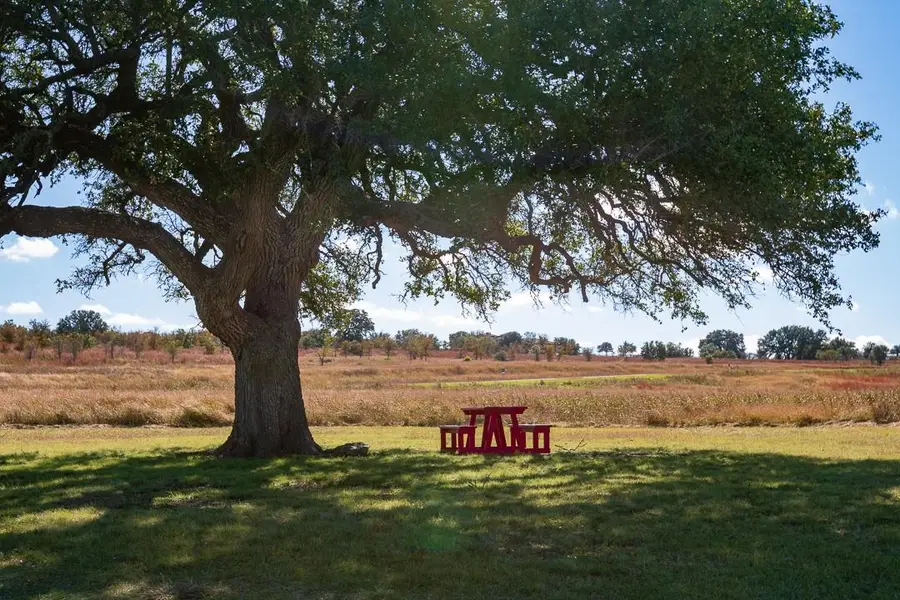 115 Strada Luca, Florence, TX 76527 - Image #3