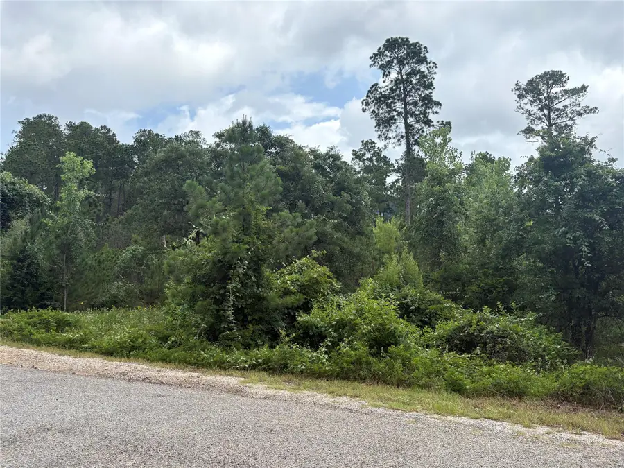 TBD Kaena Ln, Bastrop, TX 78602 - #2