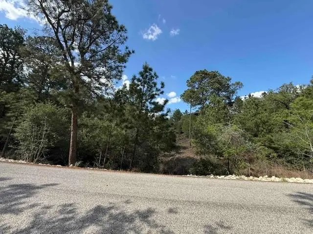 TBD None, Bastrop, TX 78602 - #2