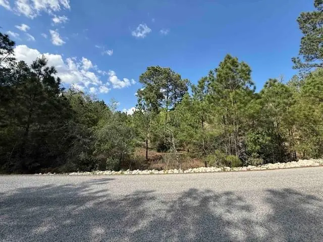 TBD None, Bastrop, TX 78602 - #3