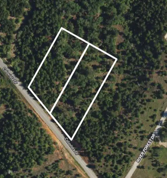 TBD - Lots 2 & 3 Colovista Dr, Bastrop, TX 78602