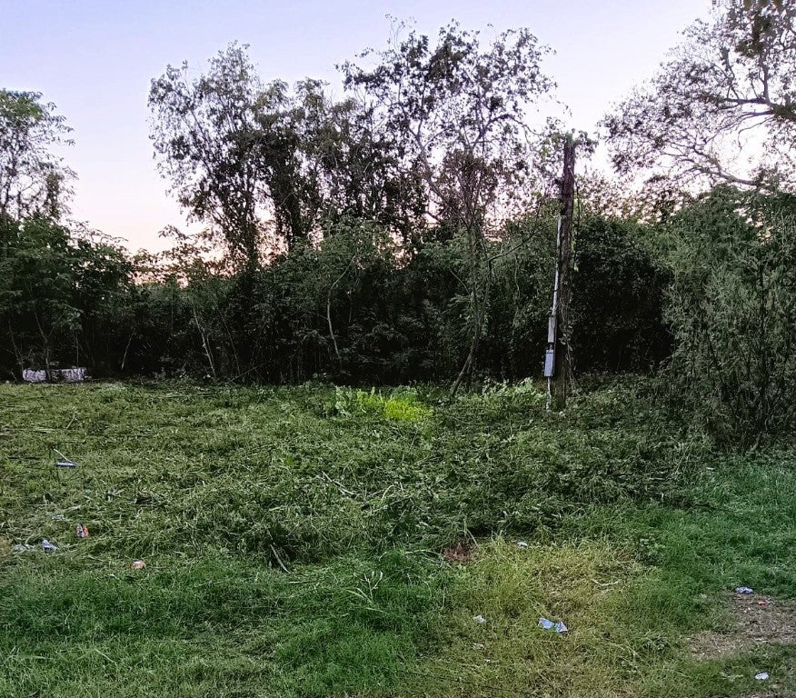 319 W A Street, Eagle Lake, TX 77434 BHGRE