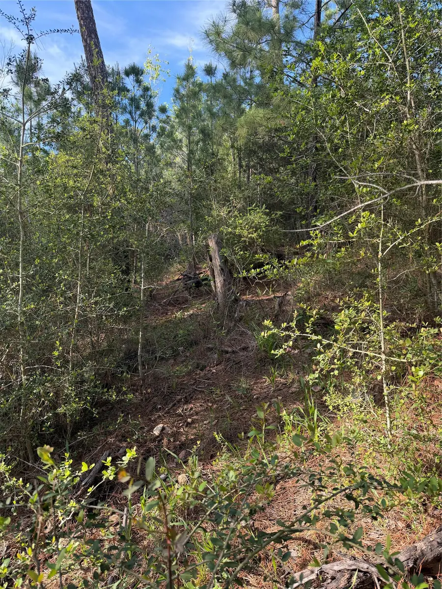 Lot 1384 Pahihi Dr, Bastrop, TX 78602 - #2
