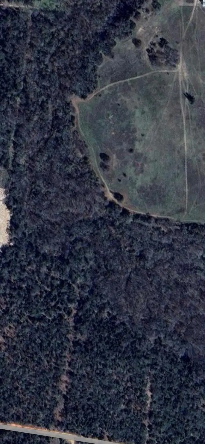 196 Brinkley Ln, Elgin, TX 78621 - #3