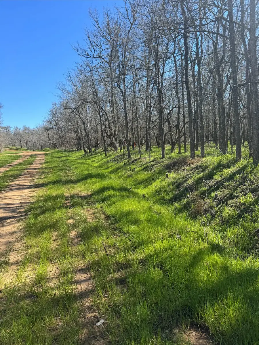 289 Iva Ln, Bastrop, TX 78602 - #2