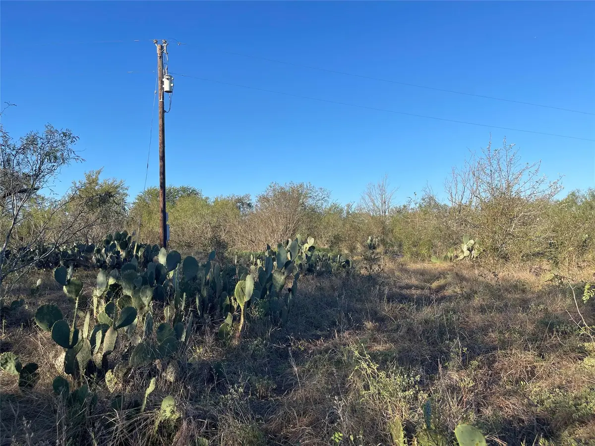 149 Dry Willow Rd, Elgin, TX 78621 - #1