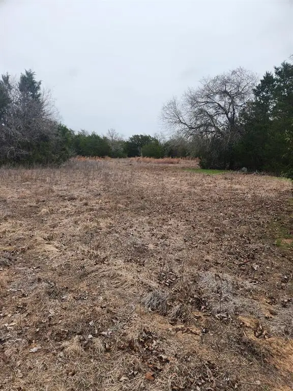 00 Milam Ln, Bastrop, TX 78602 - #3