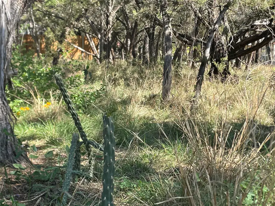 301 Augusta Cv, Lago Vista, TX 78645 - #3