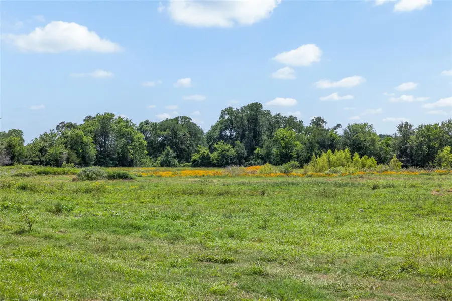TBD County Road 268, Snook, TX 77878 - #2