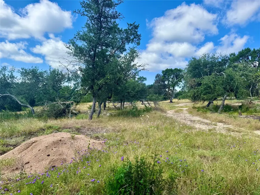 242 Landons Way, Georgetown, TX 78633 - #3