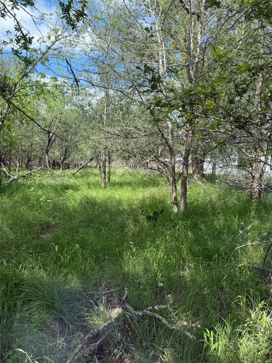 Lot 200 Nene Ln, Bastrop, TX 78602 - #2