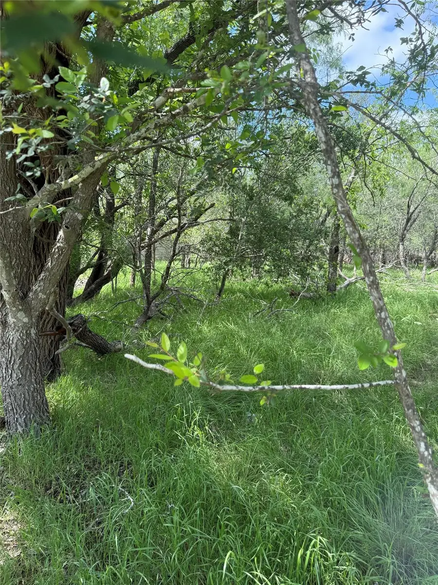 Lot 200 Nene Ln, Bastrop, TX 78602 - #3