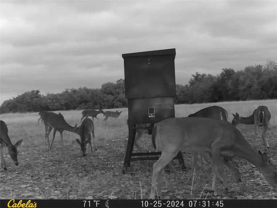 000 C.r,316, Walburg, TX 78626 - #3