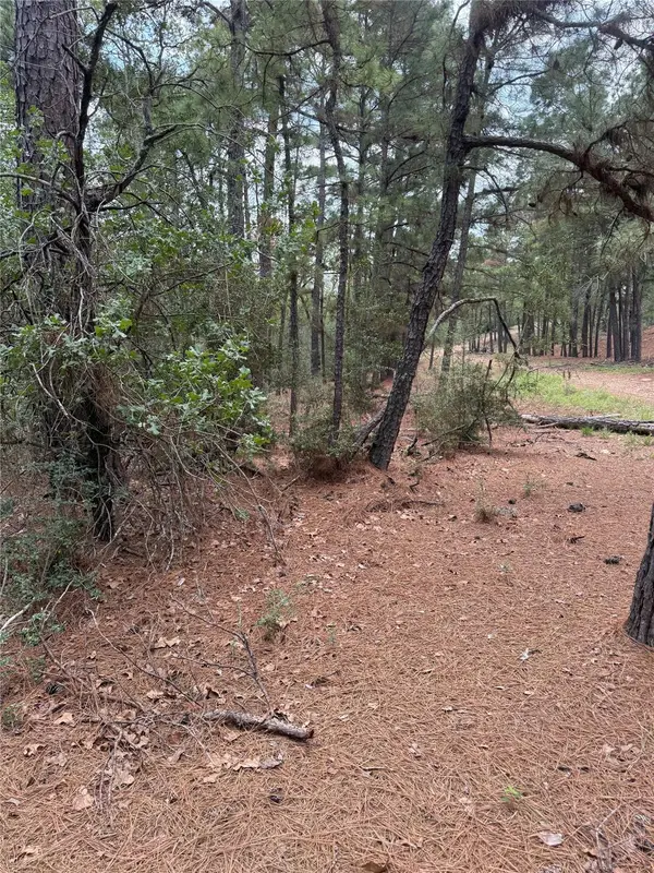 Lot 35 Tanglewood Dr, Bastrop, TX 78602