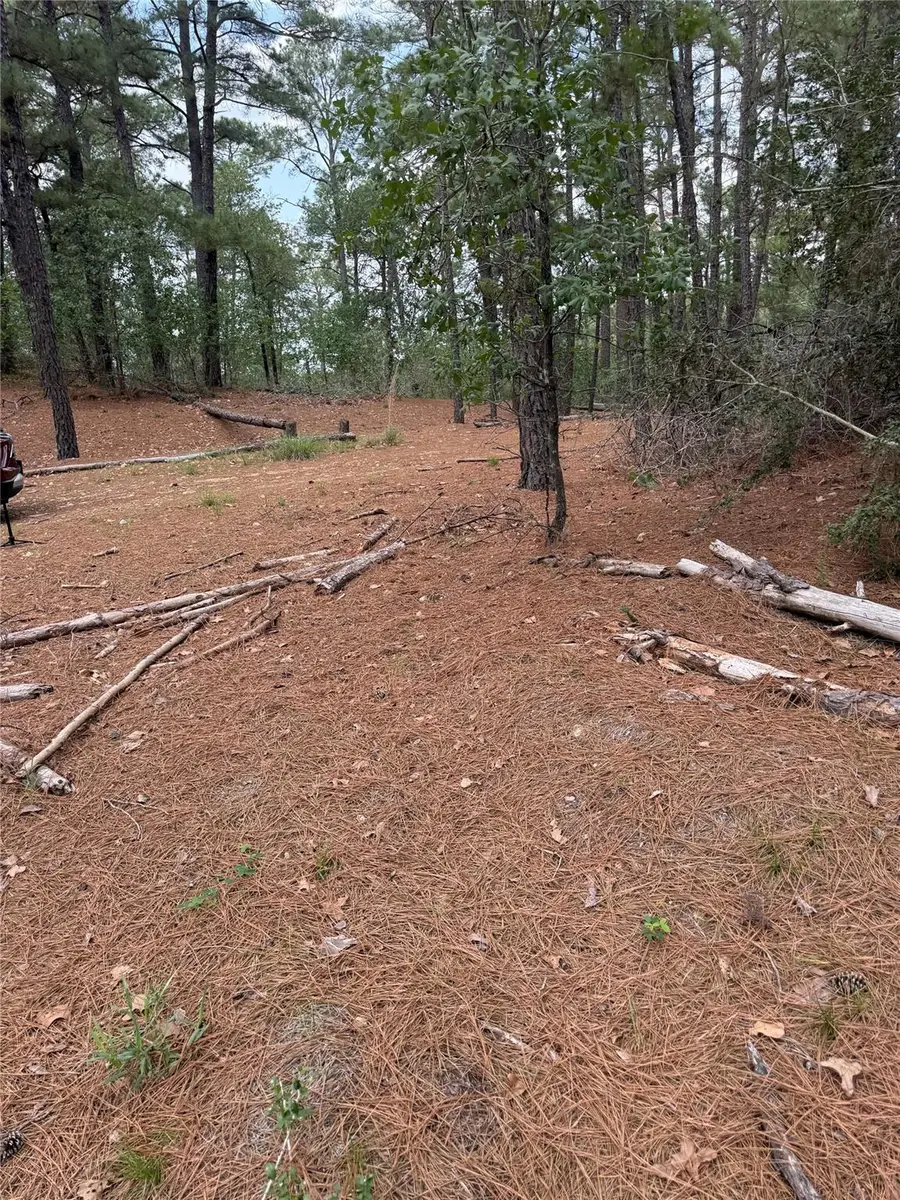 Lot 35 Tanglewood Dr, Bastrop, TX 78602 - #2