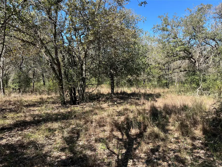 TBD Flash Cir, Luling, TX 78648 - #2