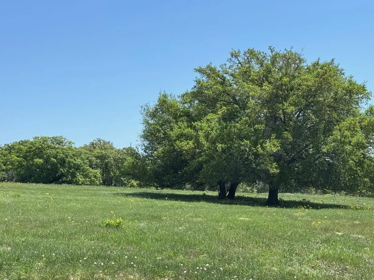 3817 Fm 154 Rd, Muldoon, TX 78949 - #1