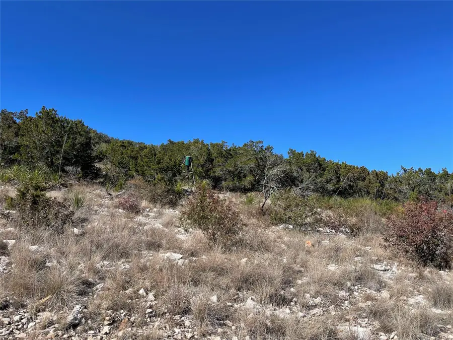 305 Walnut Springs Ranch Rd, Uvalde, TX 78801 - #2