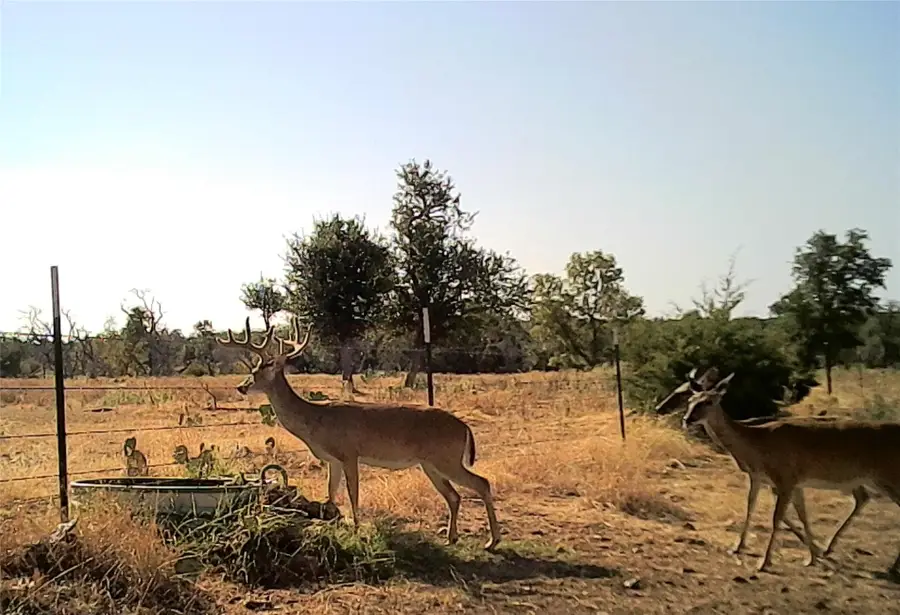 275 Starview Rd, Fredericksburg, TX 78624 - Image #2