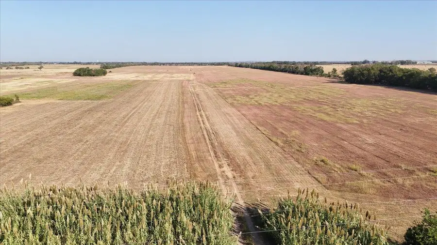 TBD Bolton Rd, Marion, TX 78124 - Image #3