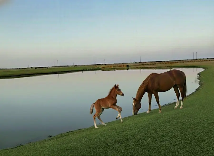 2838 County Road 201, Cameron, TX 76520 - #3