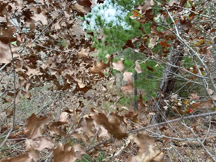 #2