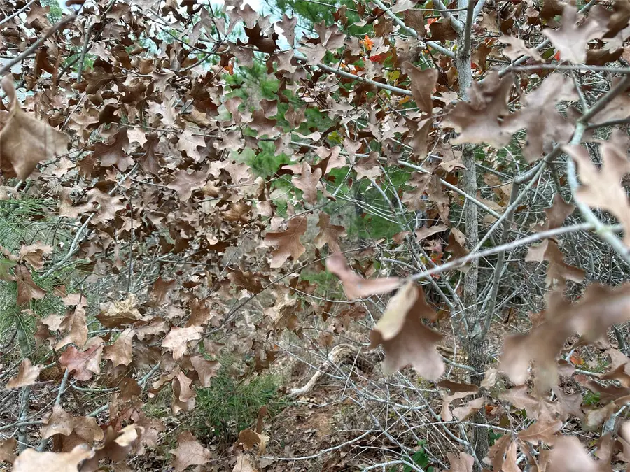 #3