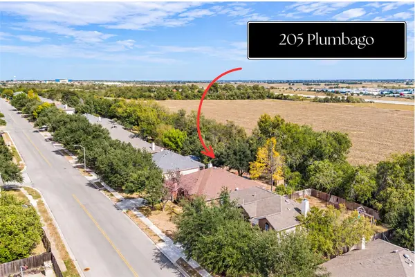 205 Plumbago Dr, Pflugerville, TX 78660
