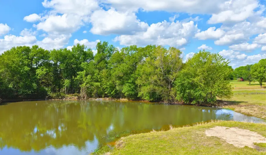 5916 Private Road 2003 (+16.9 Acres), Caldwell, TX 77836 - #3
