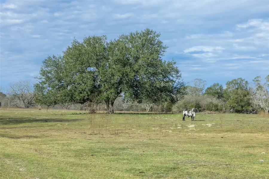 1820 South Old Smithville Rd, Flatonia, TX 78941 - #2