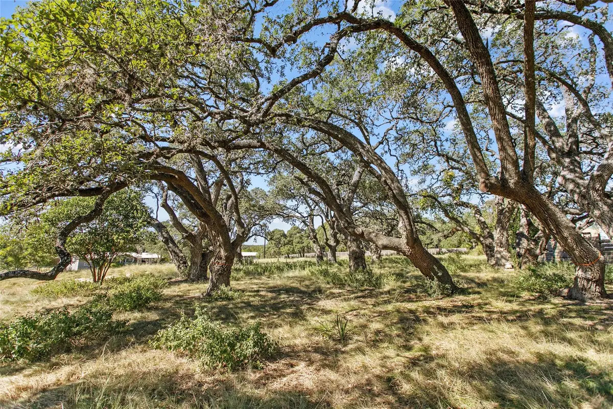 1316 Greenlawn Pkwy, Blanco, TX 78606 - #1