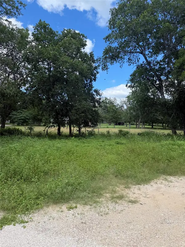 TBD Crockett St, Martindale, TX 78655