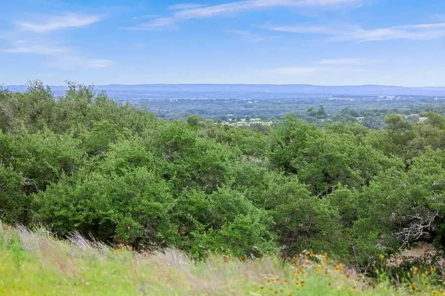 292 N Scenic Hills Ct, Blanco, TX 78606 - #2