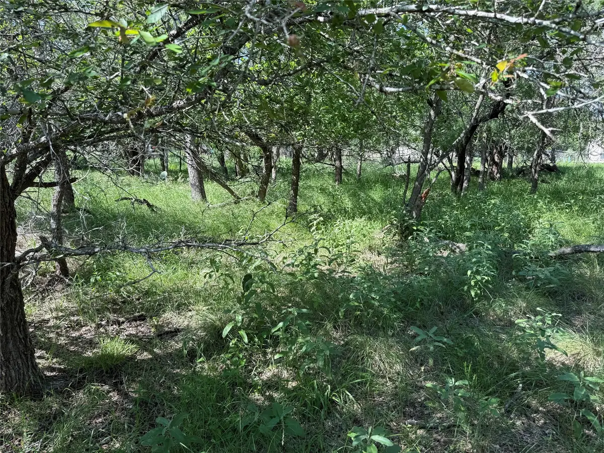 236 Mokulua Ln, Bastrop, TX 78602 - #1