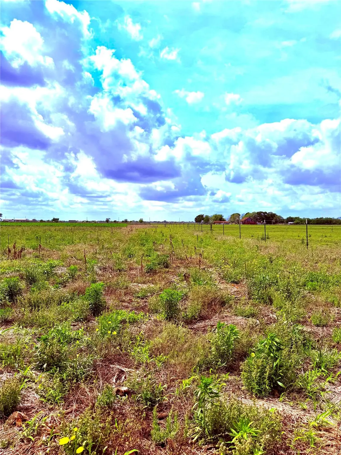 4421 Polak Rd Rd, Orchard Kendleton, TX 77485 - #1