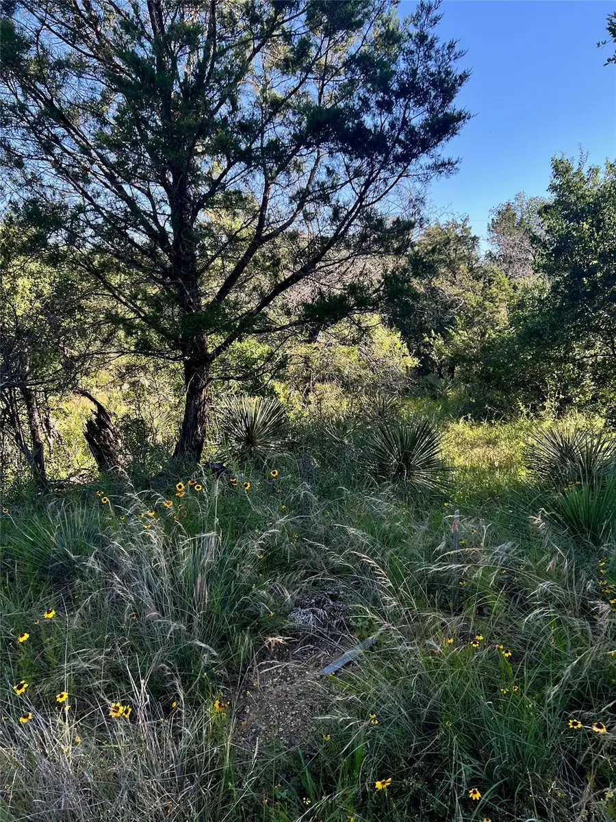 TBD Castlelake Dr, Granite Shoals, TX 78654 - #3