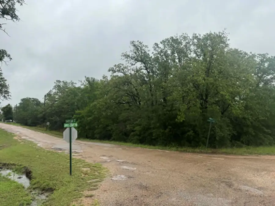 319 Shady Oak St, Somerville, TX 77879 - #2