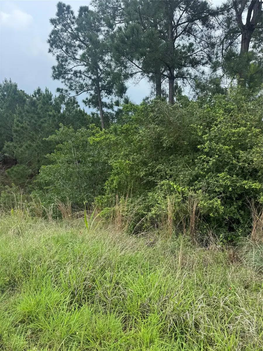 Lots 1612, 1613, 1614 Kaanapali Ln, Bastrop, TX 78602 - #2