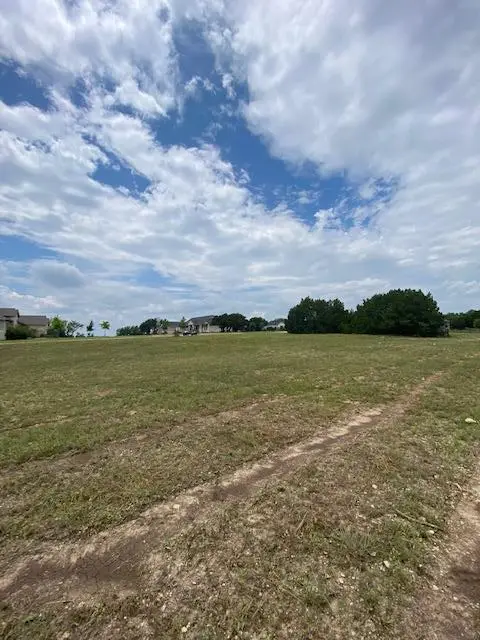 600 Buffalo Trl, Liberty Hill, TX 78642 - #3