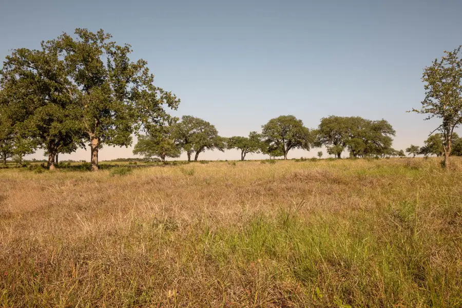 367 Gipson Rd, Johnson City, TX 78636 - #3