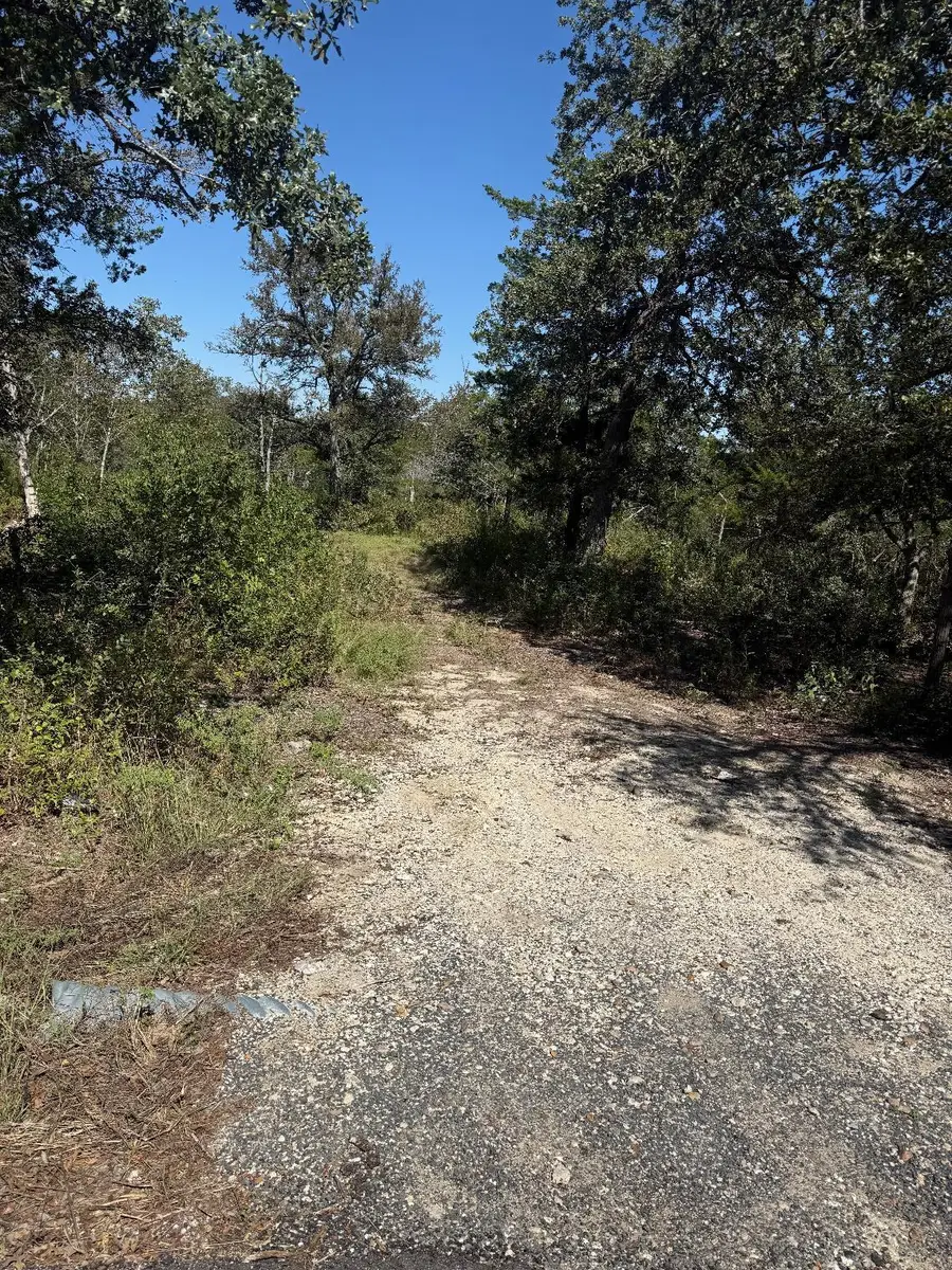 20600 Trappers Trl, Manor, TX 78653 - #2