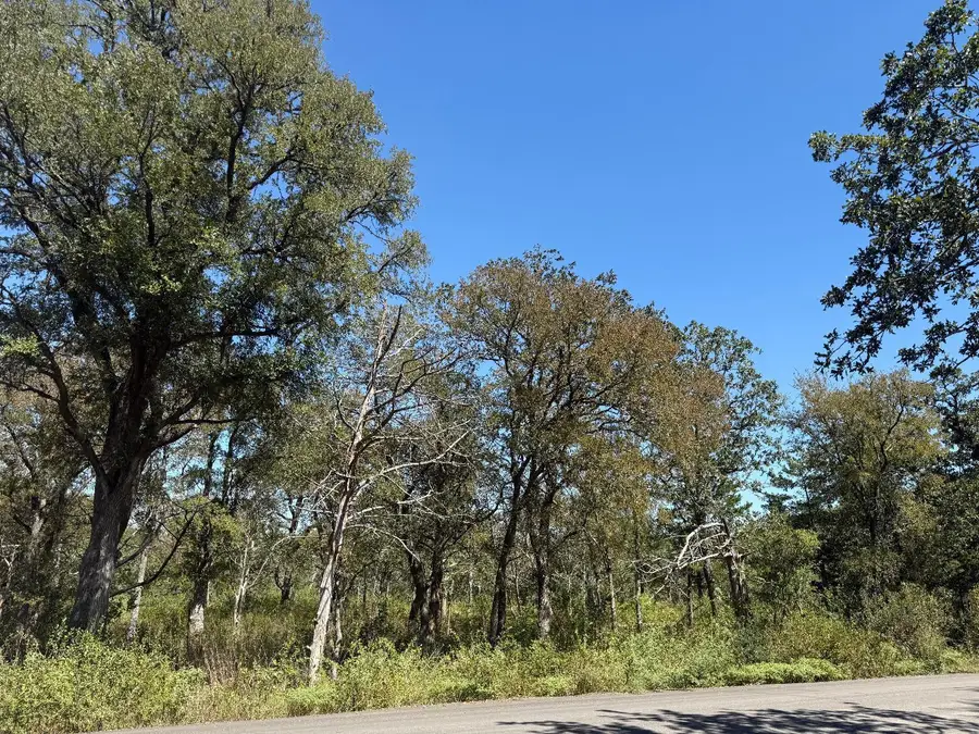 20600 Trappers Trl, Manor, TX 78653 - #3