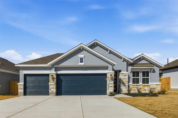 19132 Ariel Elena Way, Pflugerville, TX 78660